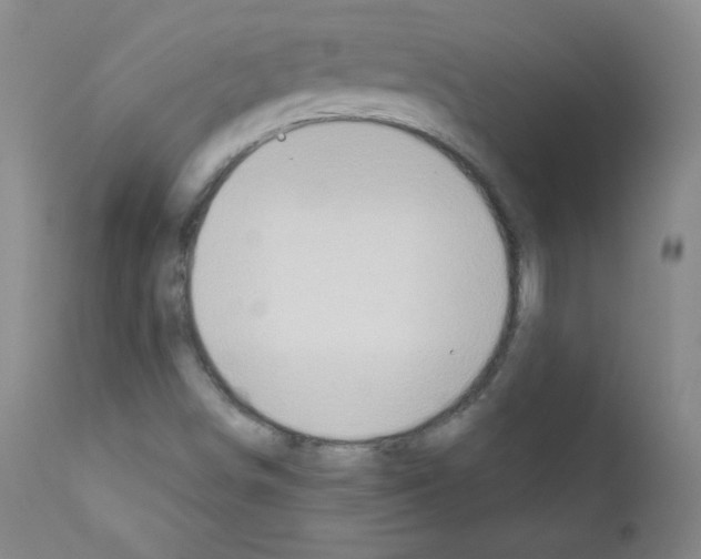 X0000111801498200909031216