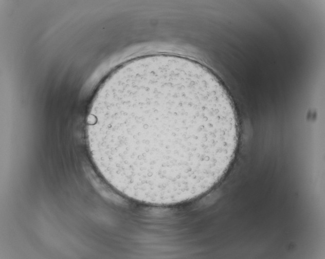 X0000111801499200909031216