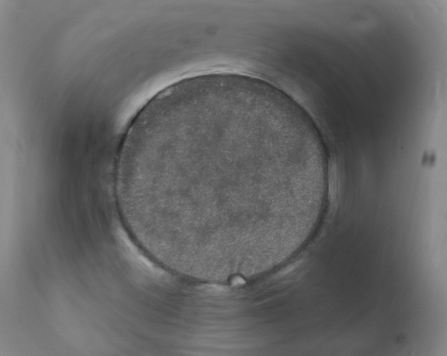 X0000111801500200909031216