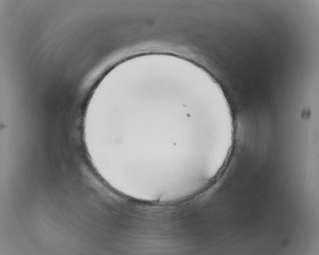 X0000111801502200909031216