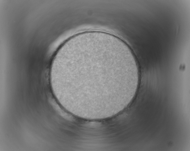 X0000111801503200909031216