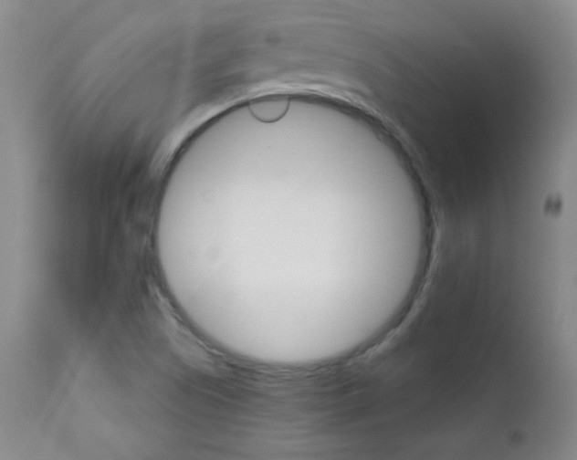 X0000111801505200909031216