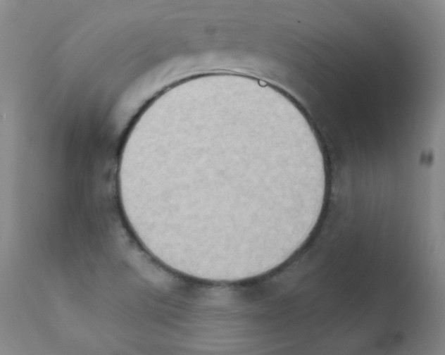 X0000111801507200909031216