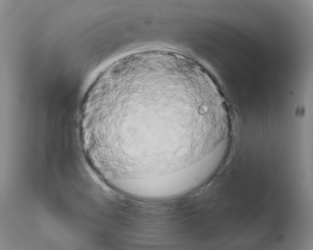 X0000111801508200909031216