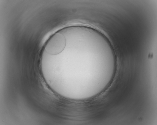 X0000111801509200909031216