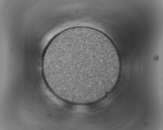 X0000111801511200909031216