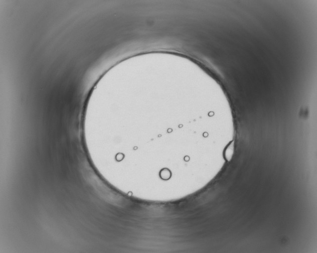 X0000111801512200909031216