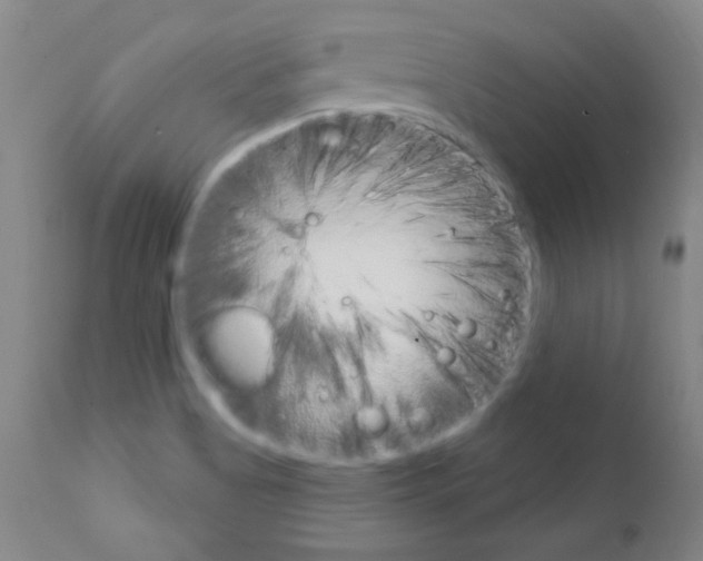 X0000111801513200909031216