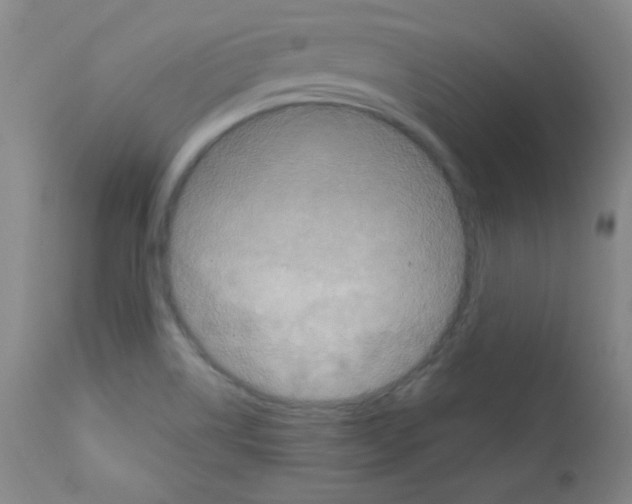 X0000111801514200909031216