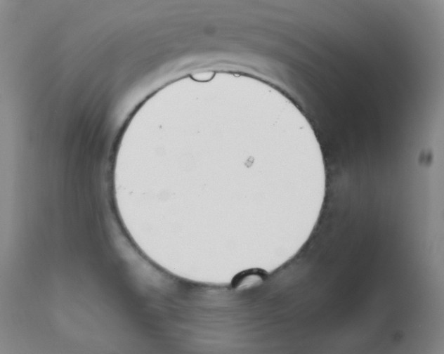 X0000111801518200909031216