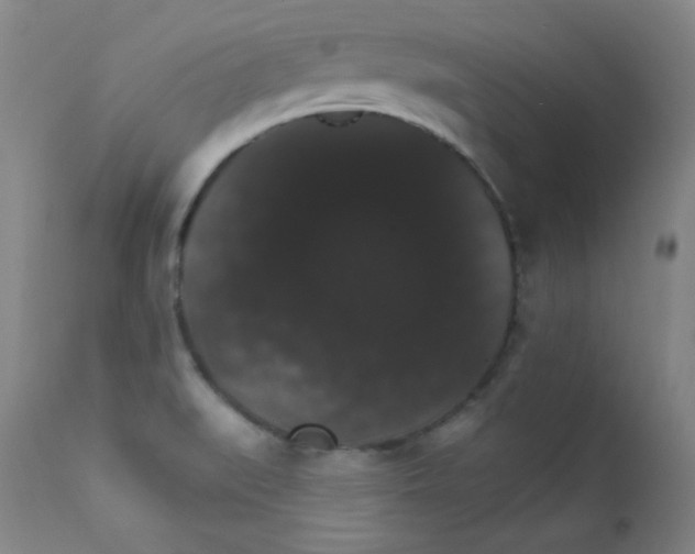 X0000111801519200909031216