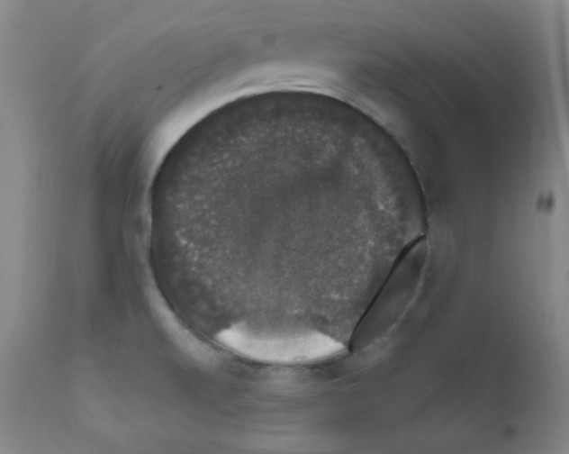 X0000111801520200909031216