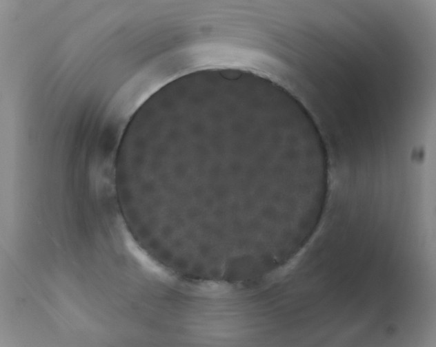 X0000111801521200909031216