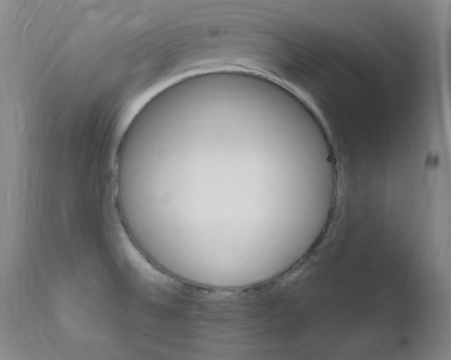 X0000111801524200909031217