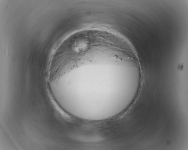 X0000111801525200909031217