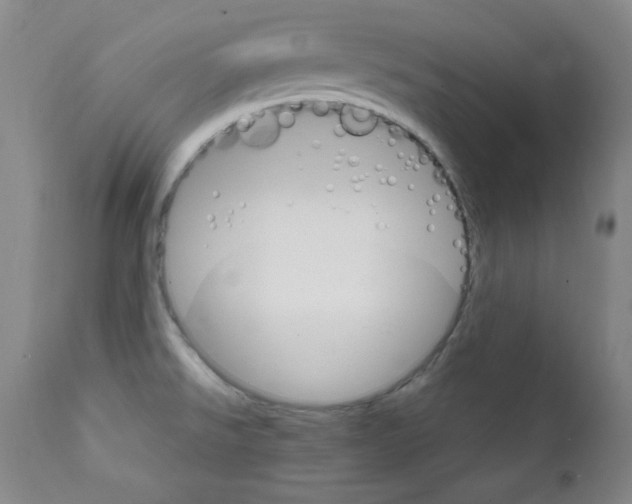X0000111801526200909031217