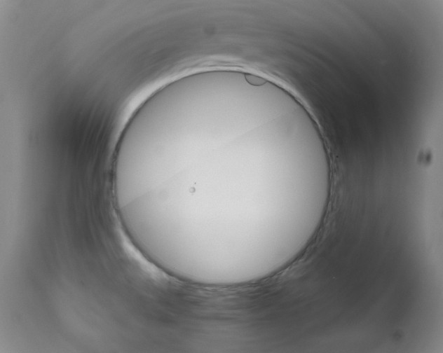 X0000111801527200909031217