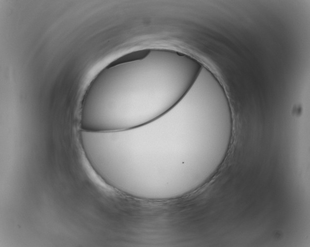 X0000111801528200909031217
