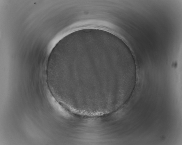 X0000111801530200909031217