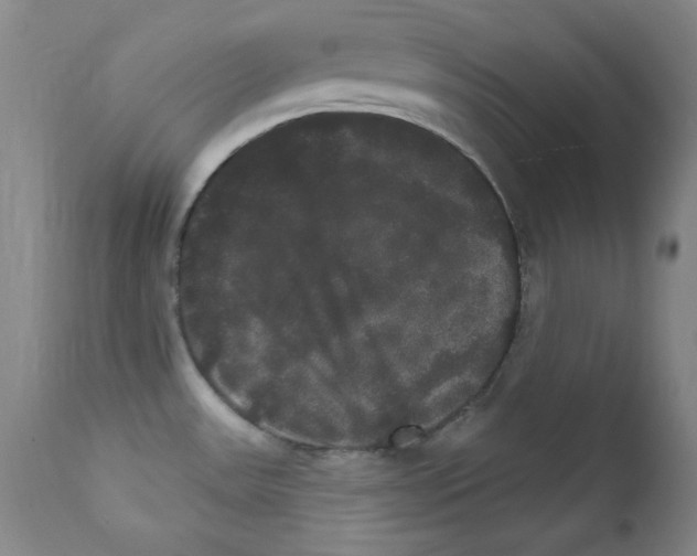 X0000111801531200909031217