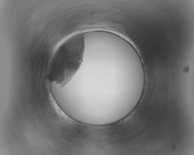 X0000111801534200909031217