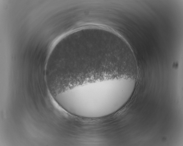 X0000111801535200909031217