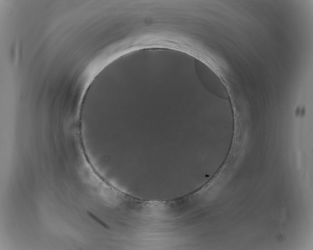 X0000111801536200909031217