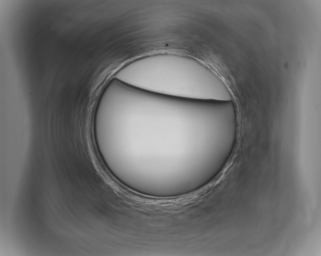 X0000111810001200907231025