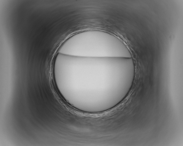 X0000111810002200907231025