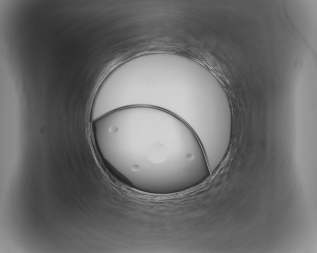 X0000111810003200907231025