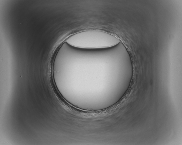 X0000111810005200907231025