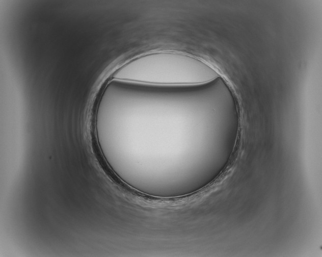 X0000111810007200907231025