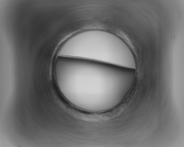 X0000111810012200907231025