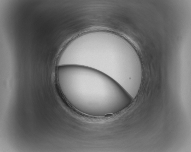 X0000111810015200907231025