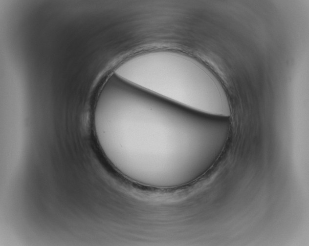 X0000111810016200907231025