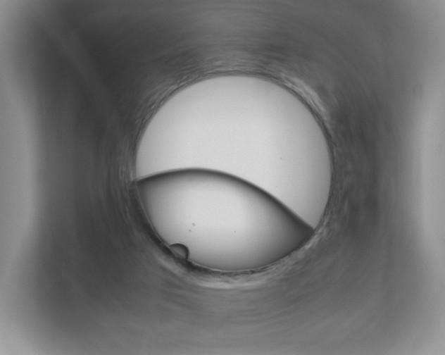 X0000111810017200907231025