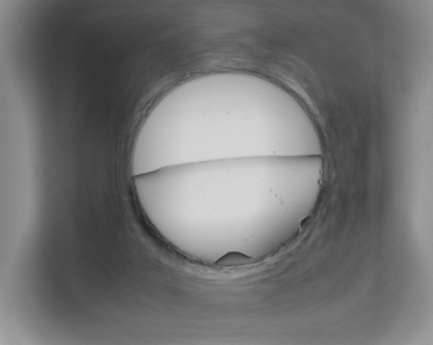 X0000111810019200907231025