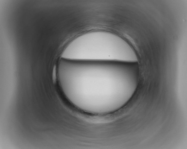 X0000111810020200907231025