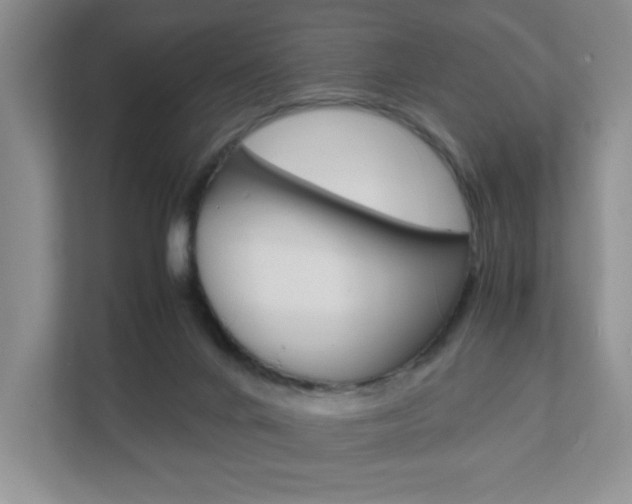 X0000111810024200907231025