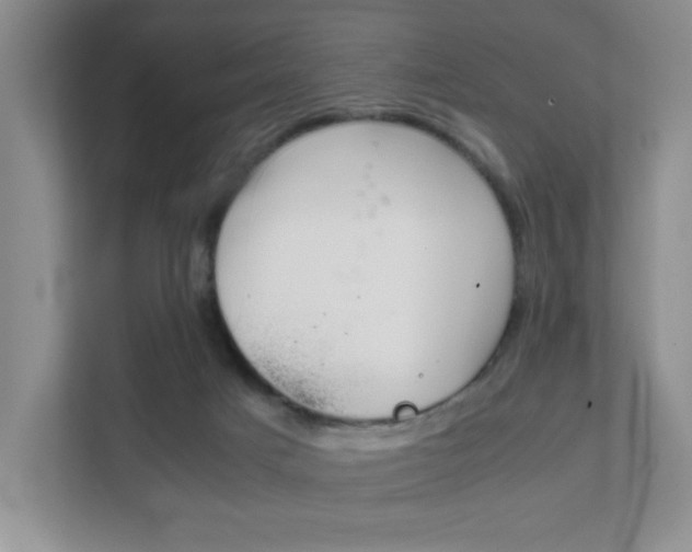 X0000111810025200907231025