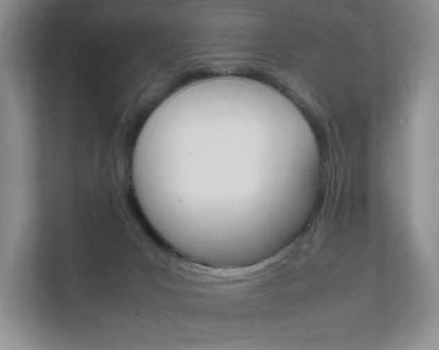 X0000111810031200907231025