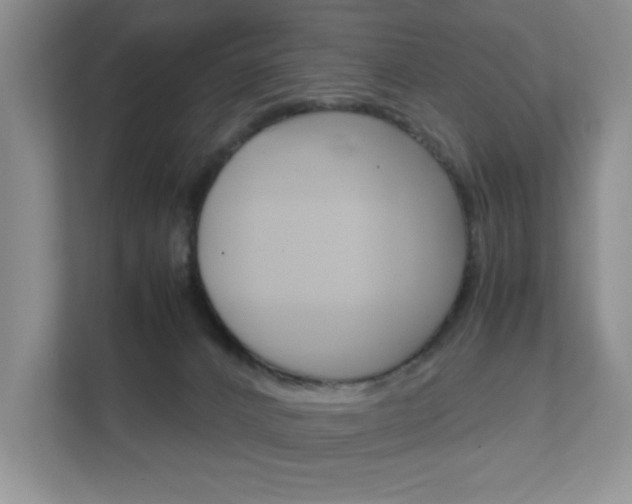 X0000111810032200907231025