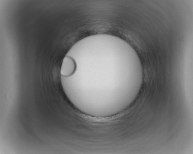 X0000111810034200907231025