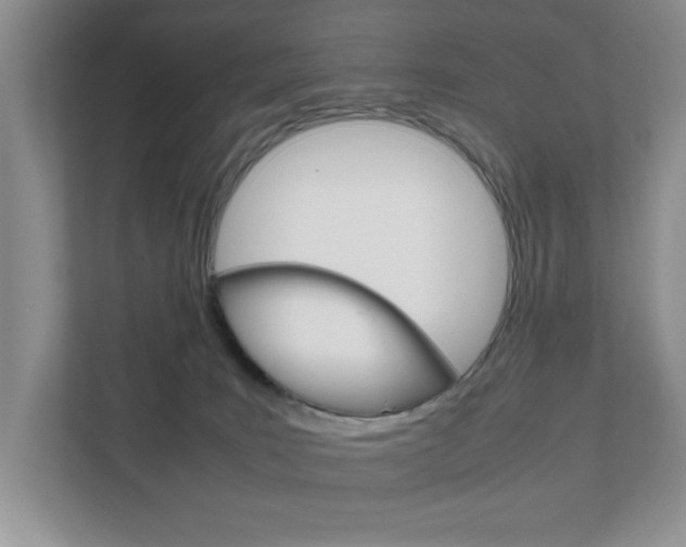 X0000111810035200907231025