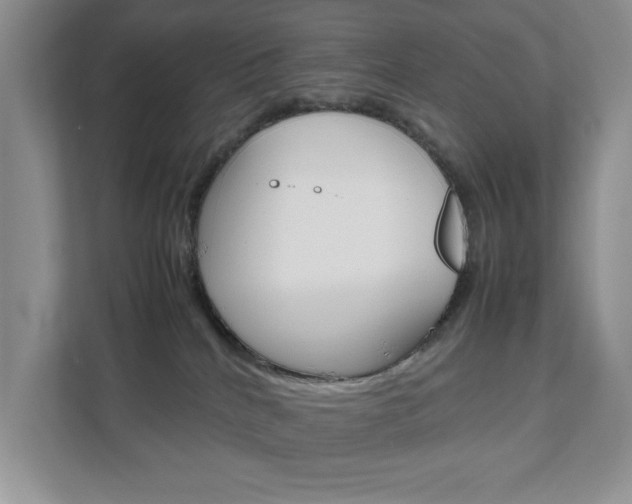 X0000111810040200907231025