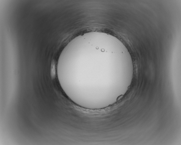 X0000111810042200907231025