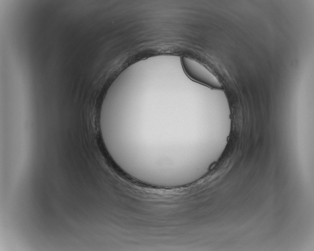 X0000111810044200907231025