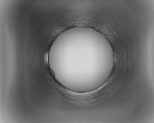 X0000111810047200907231025