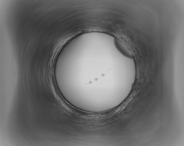 X0000111810049200907231024