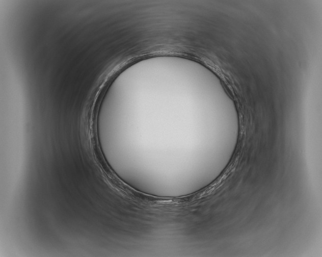 X0000111810050200907231024